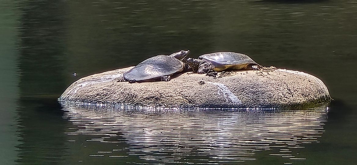 20260628_110828.jpg