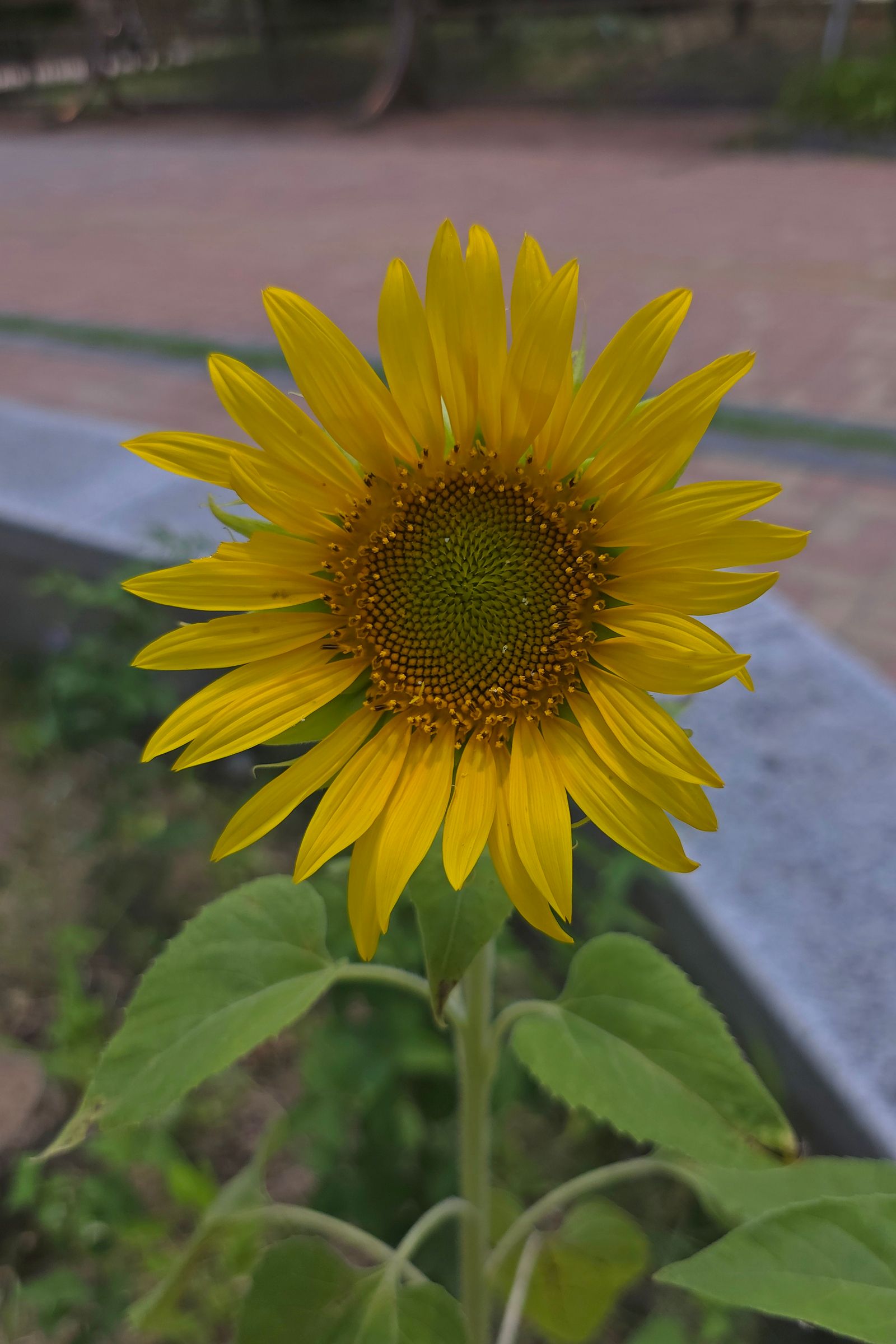 20260701_133321.jpg