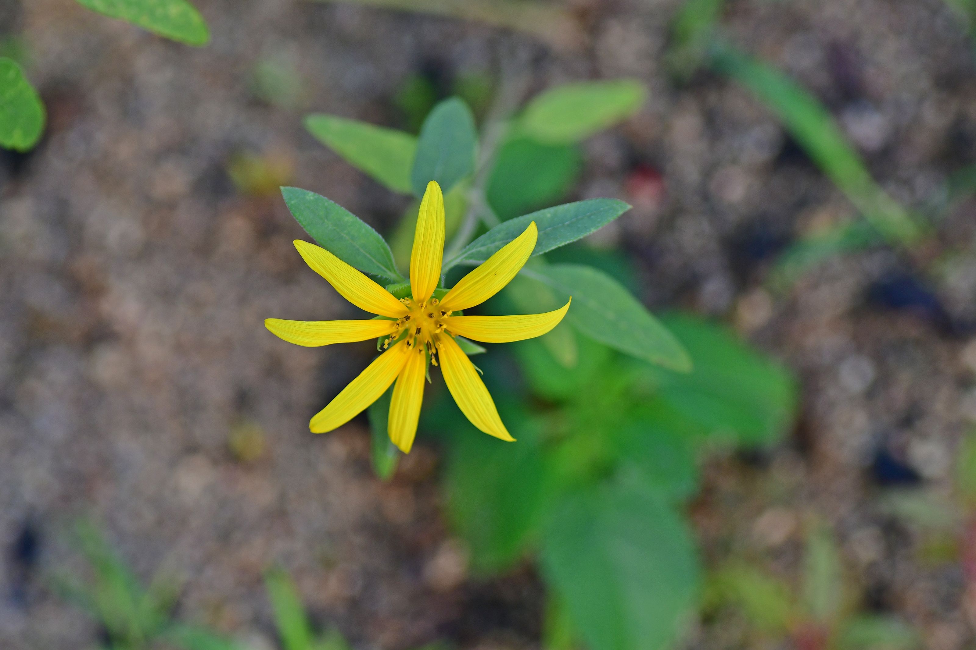 DSC_3089.JPG