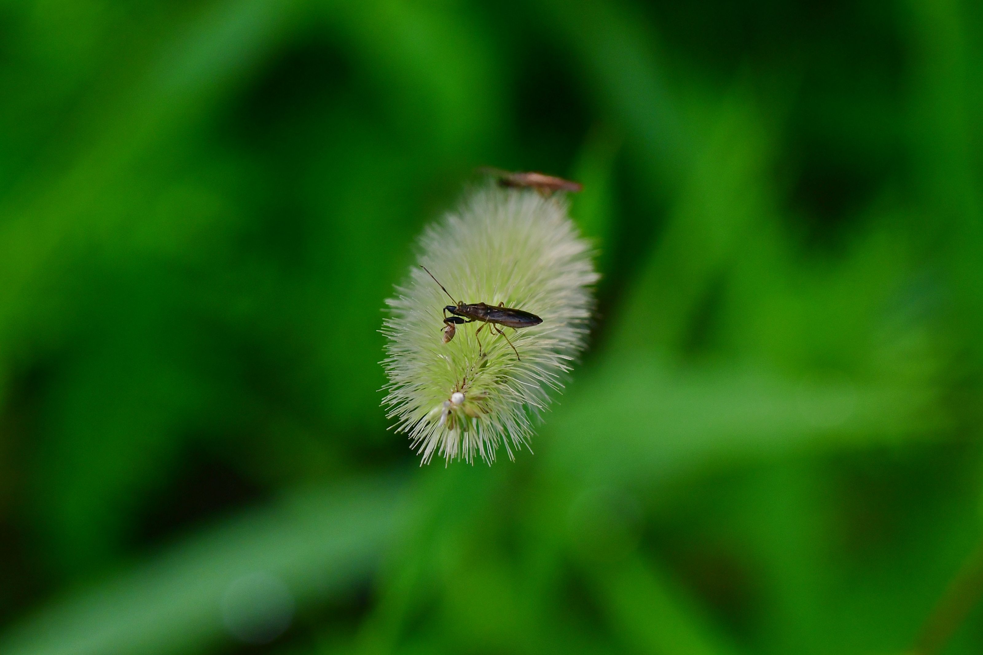 DSC_3116.JPG
