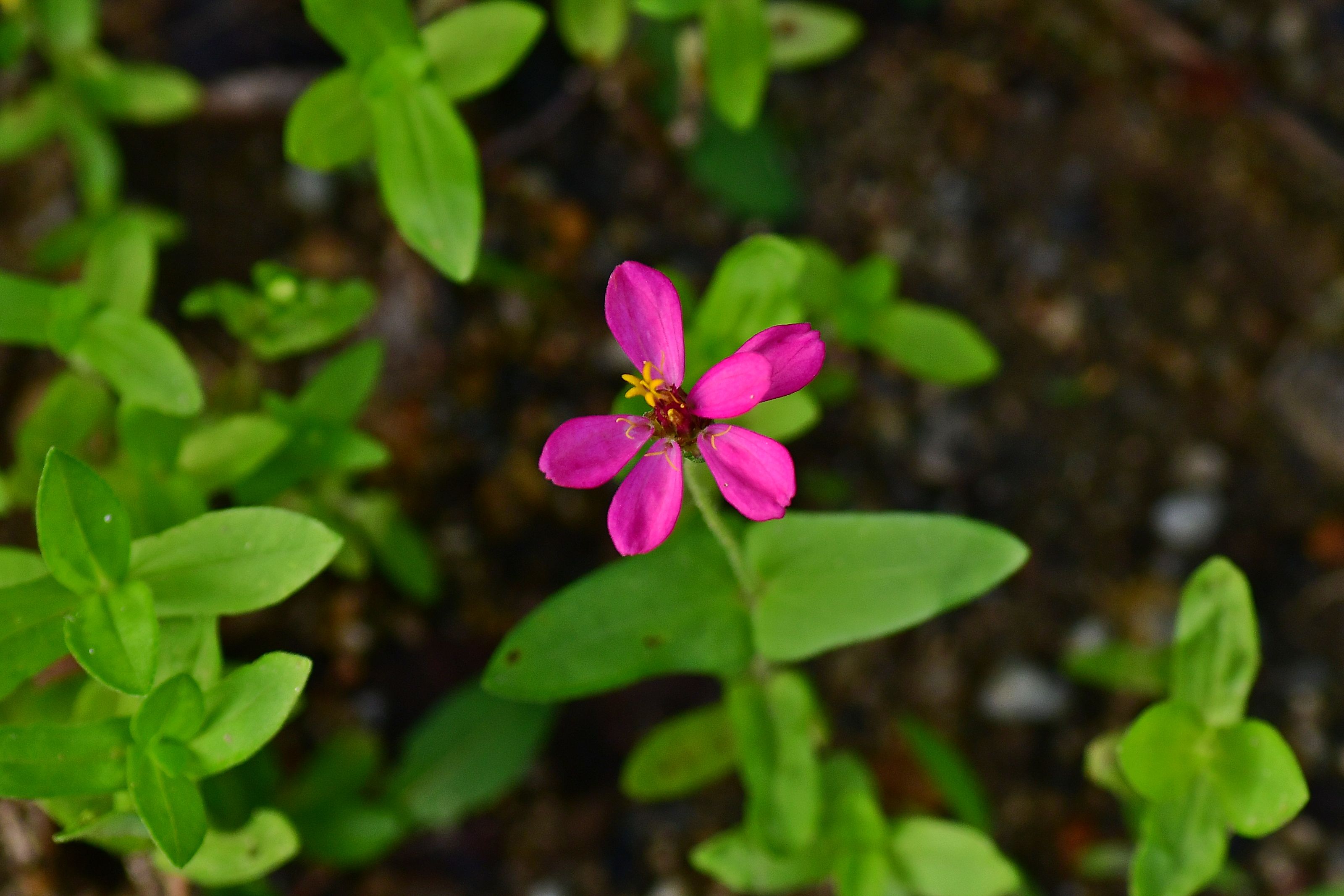 DSC_3138.JPG