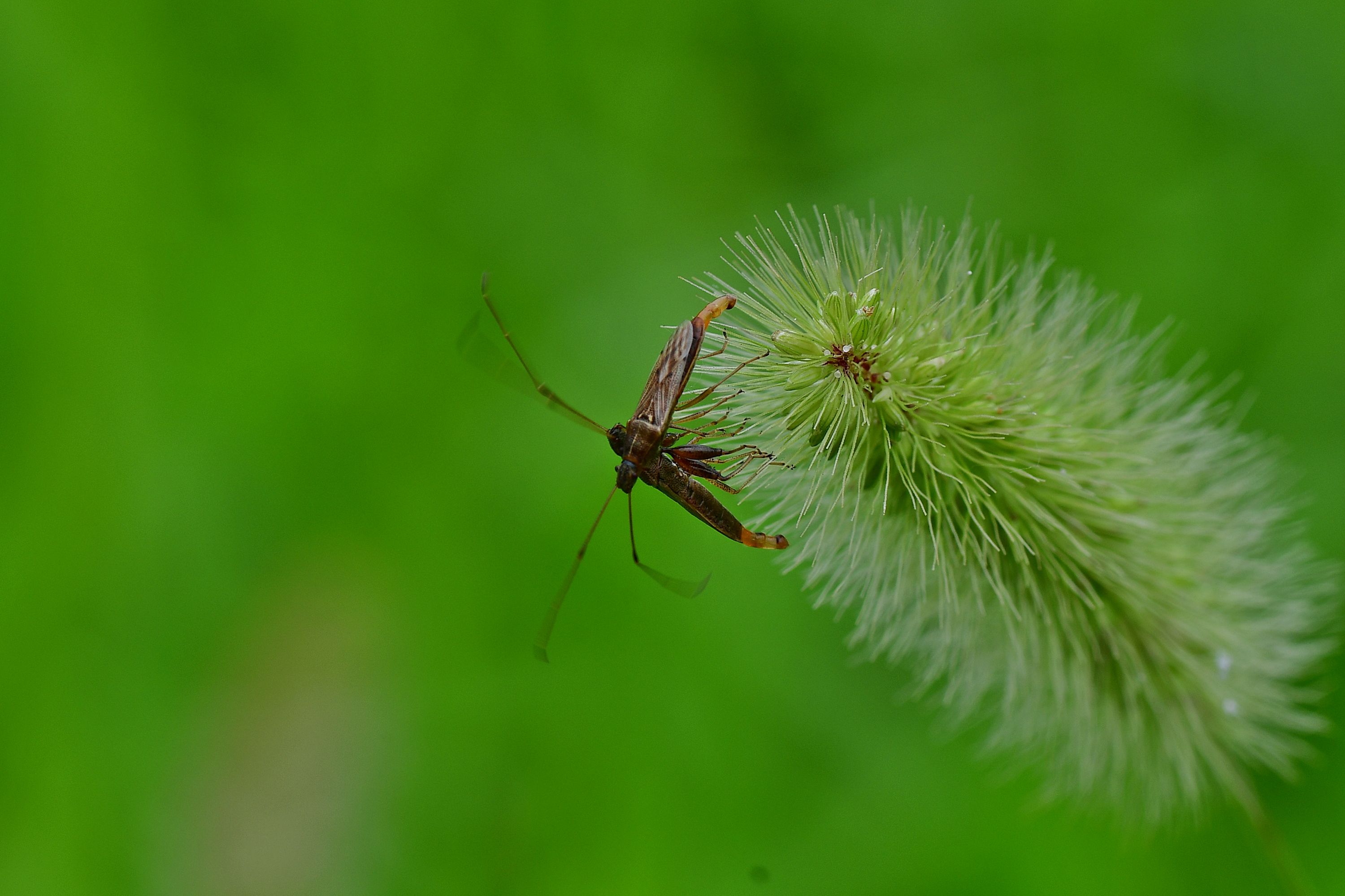 DSC_3321.JPG