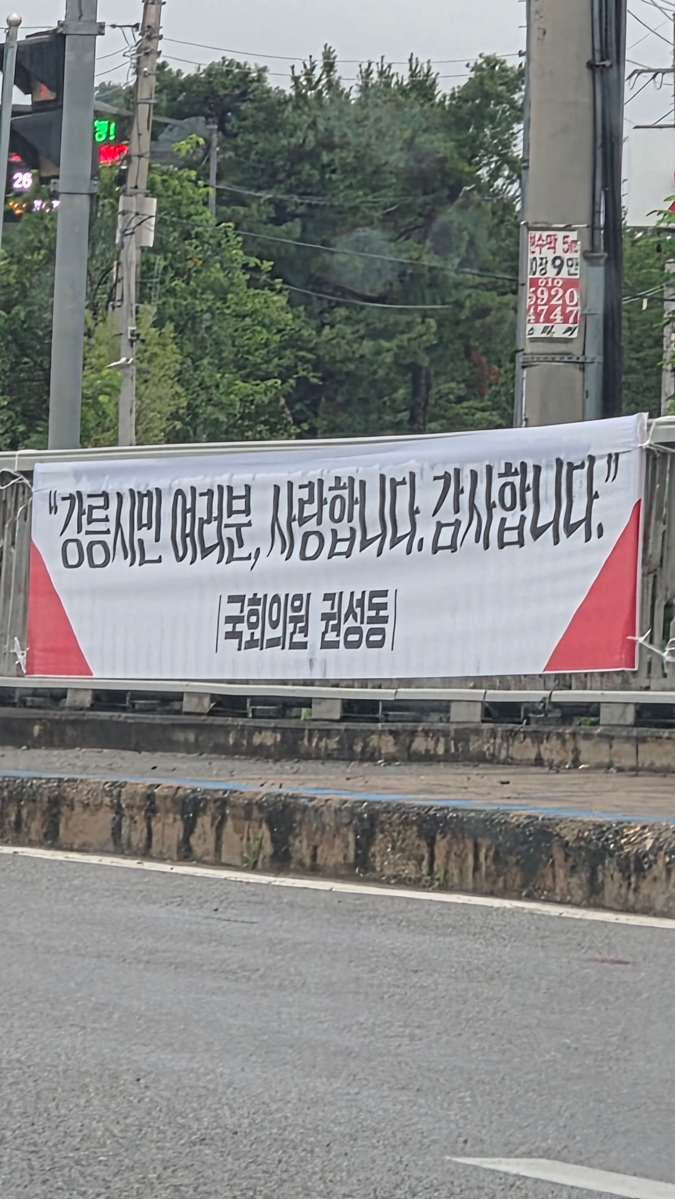 강릉의 왕[직찍]