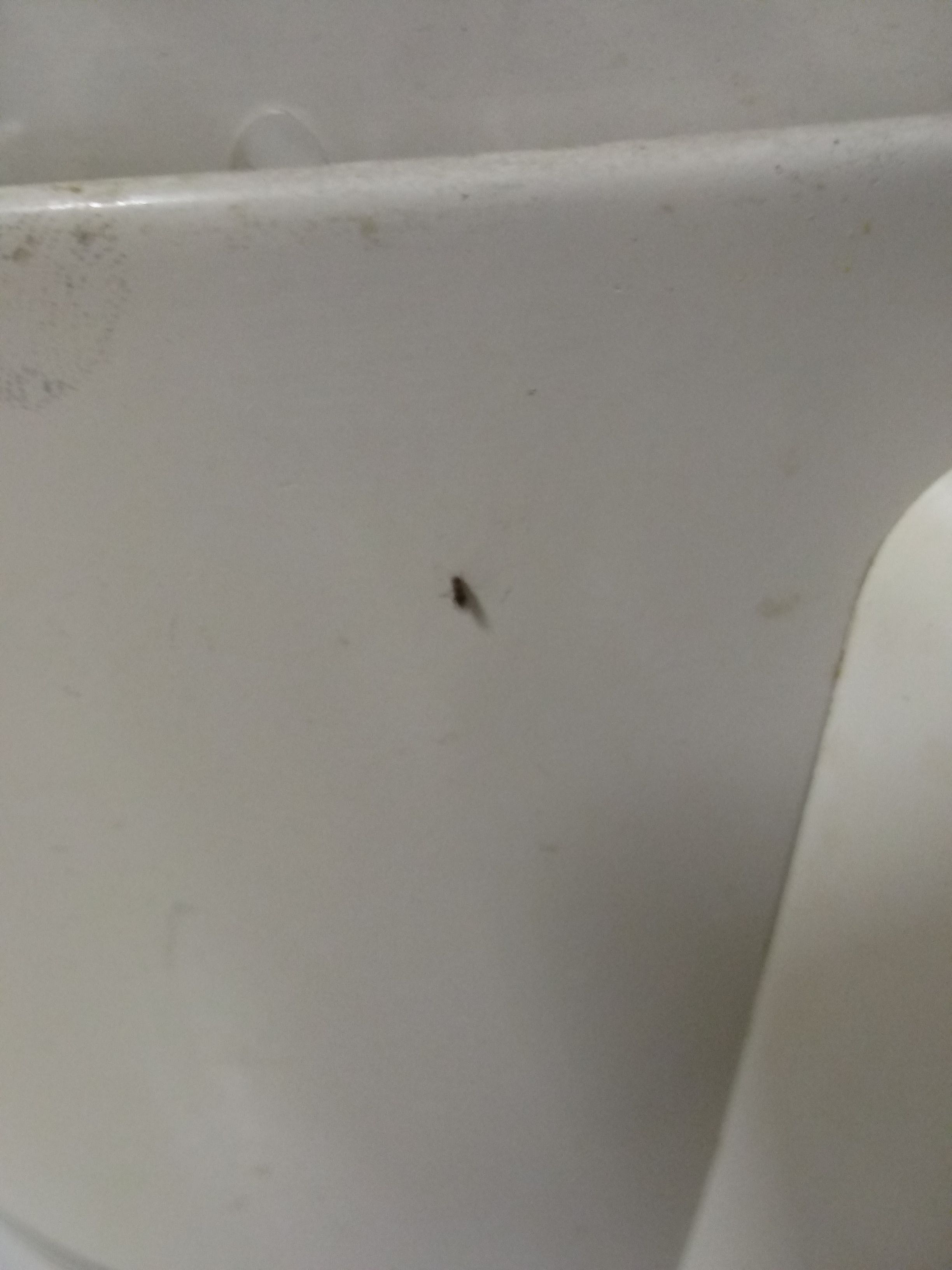 20201208_191344.jpg