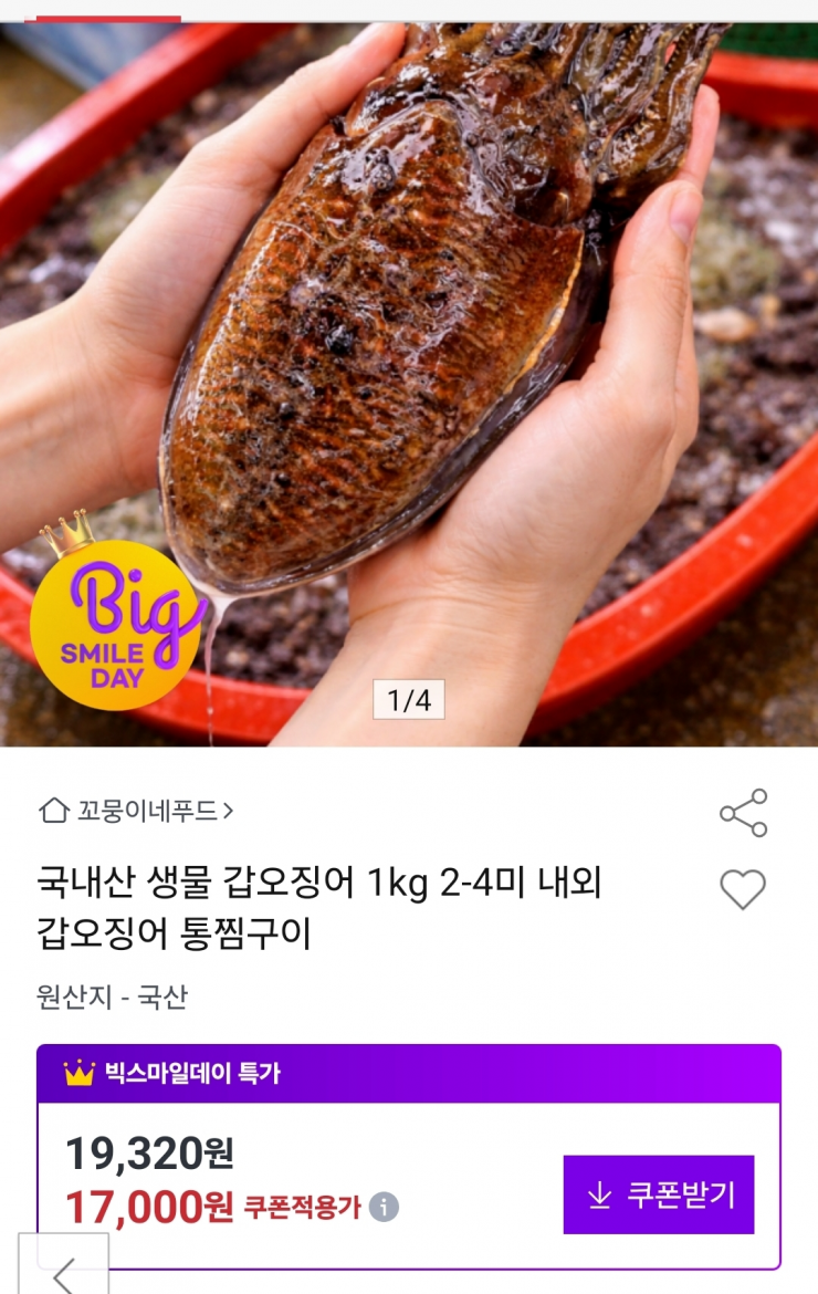 [옥션]국내산 생물 갑오징어 1kg 2-4미 내외