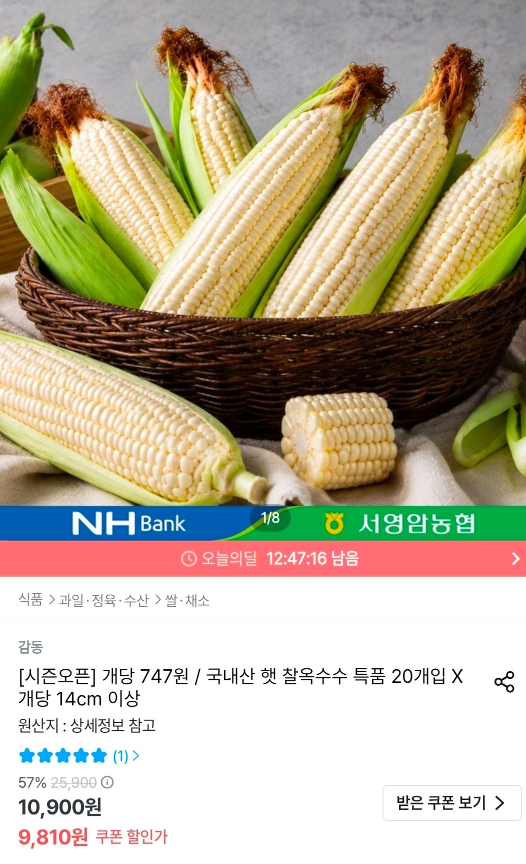 [오늘의집] 국내산 햇 찰옥수수 특품 20개입 14cm 이상