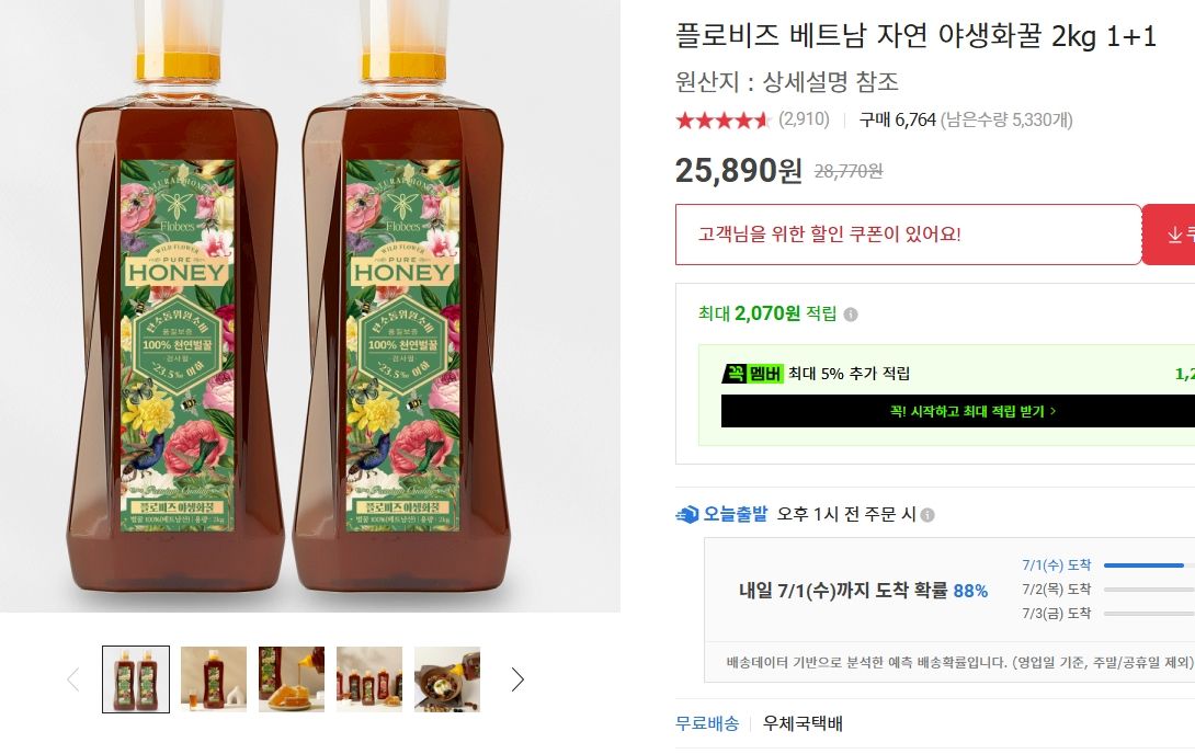 [옥션] 플로비즈 베트남 자연 야생화꿀 2kg 1+1