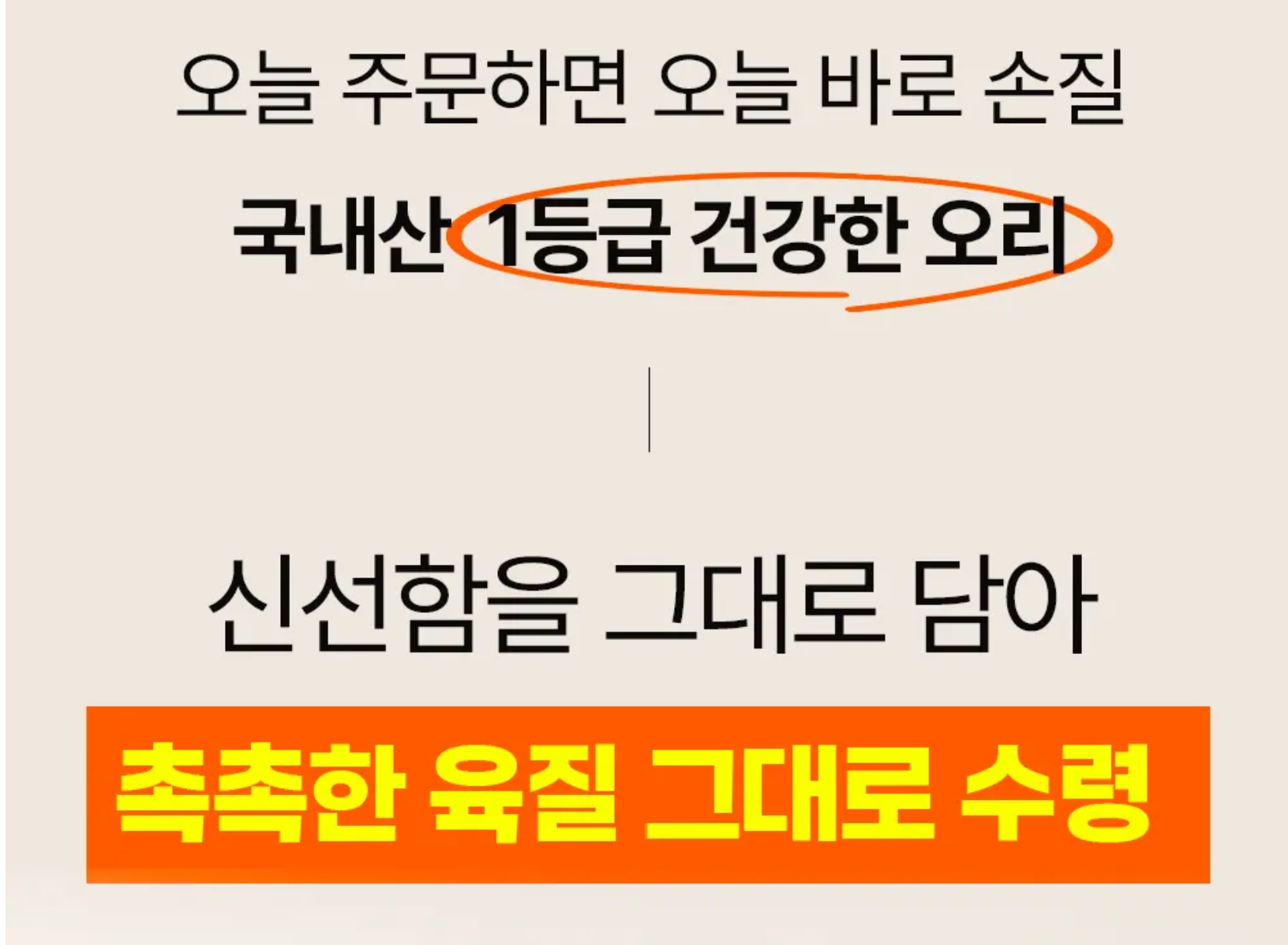 하루특가) 땡큐파머스 생오리 슬라이스, 500g, 1팩