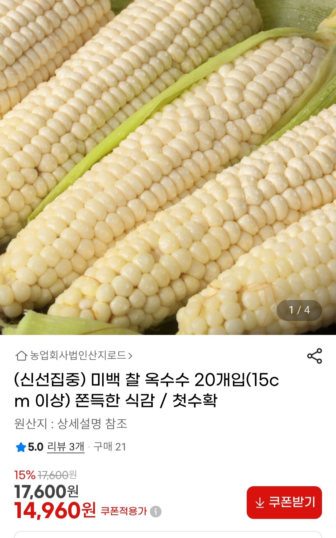 [지마켓] 미백 찰 옥수수 20개입 (15cm 이상)