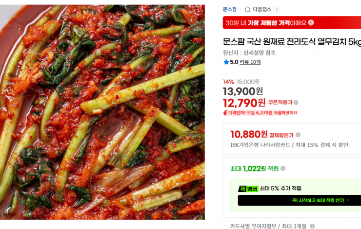[지마켓] 문스팜 국산 원재료 전라도식 열무김치 5kg