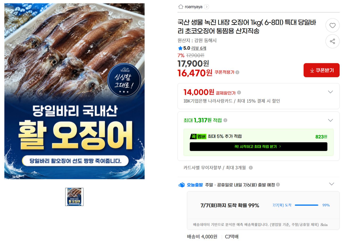 [지마켓] 국산 생물 오징어 1kg( 6-8미) 특대 당일바리 초코오징어