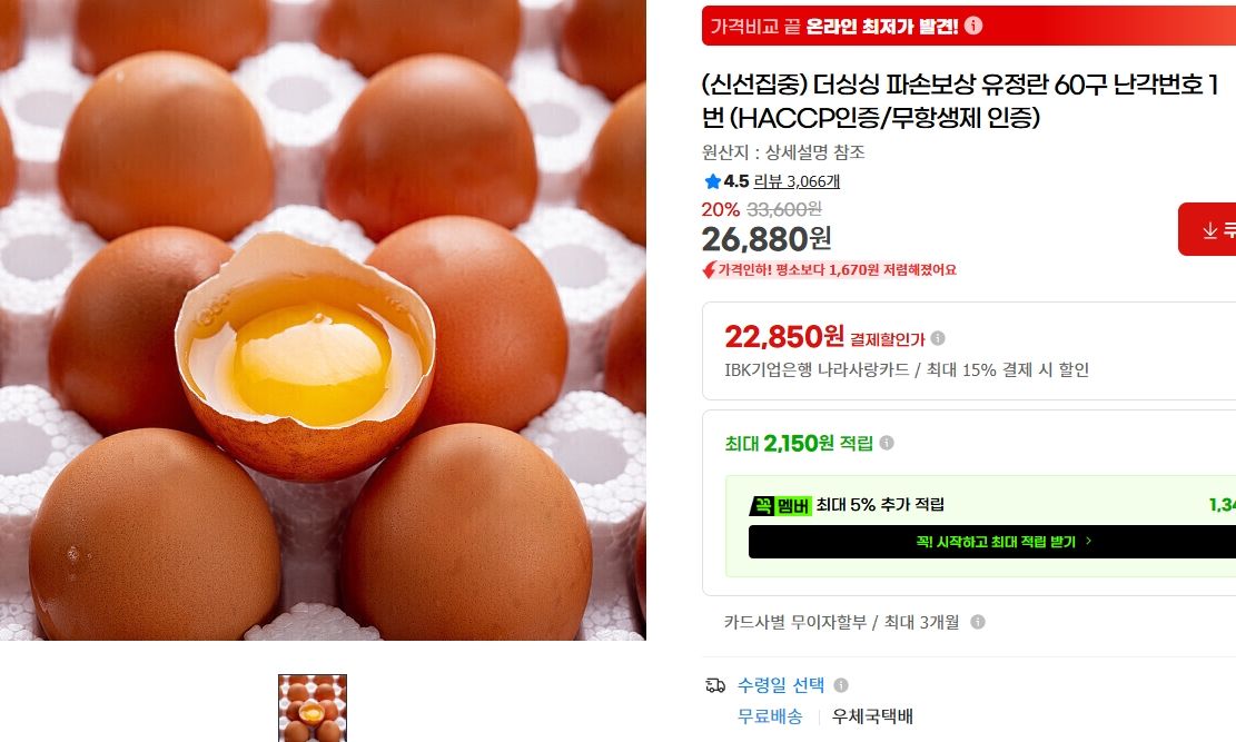[지마켓] 유정란 60구 난각번호 1번 (HACCP인증/무항생제 인증)