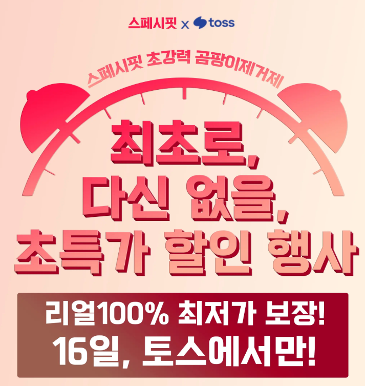 00시종료)스페시핏 곰팡이 제거제 플러스, 500ml, 2개