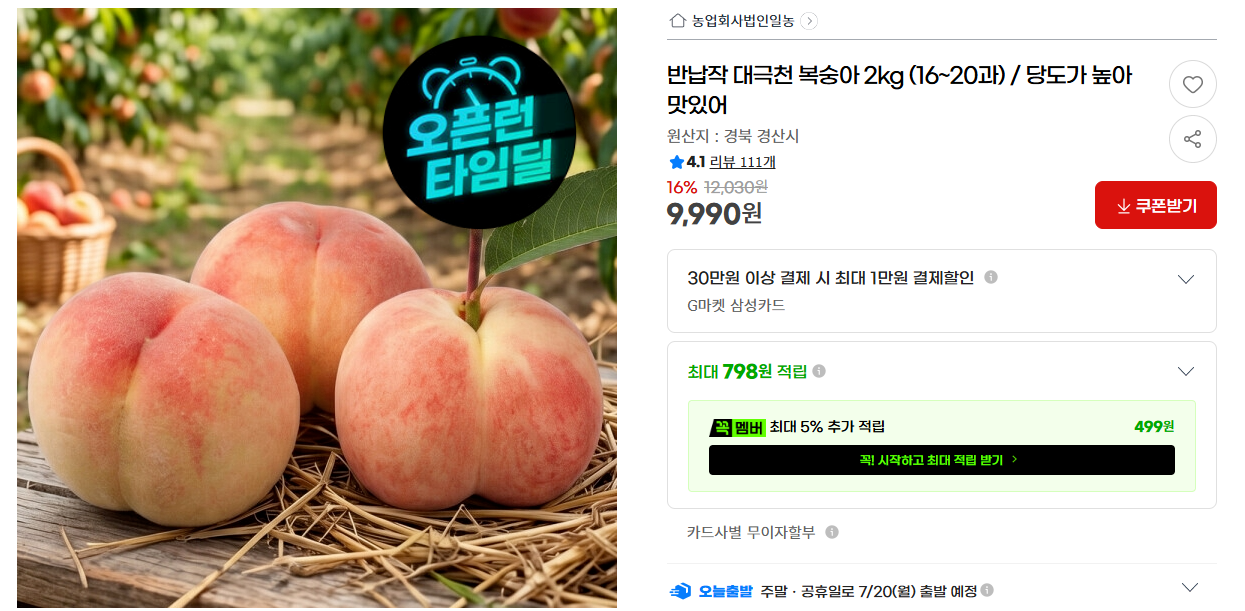 [지마켓] 반납작 대극천 복숭아 2kg (16~20과) / 당도가 높아 맛있어