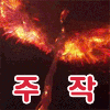 이토콘