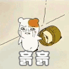 이토콘