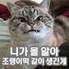 이토콘