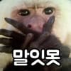 이토콘
