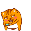 이토콘