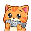 이토콘