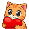 이토콘