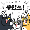 이토콘