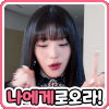 이토콘