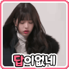 이토콘