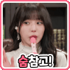 이토콘