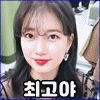 이토콘