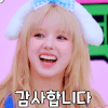 이토콘