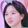 이토콘