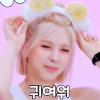 이토콘