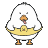 이토콘