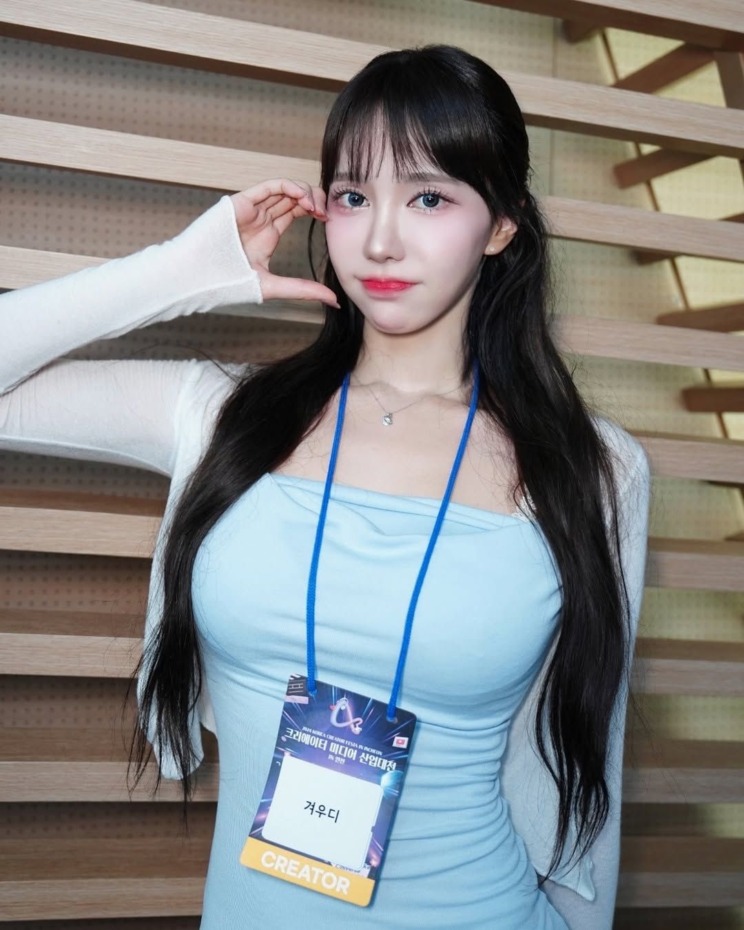 겨우디 스트리머4.jpg