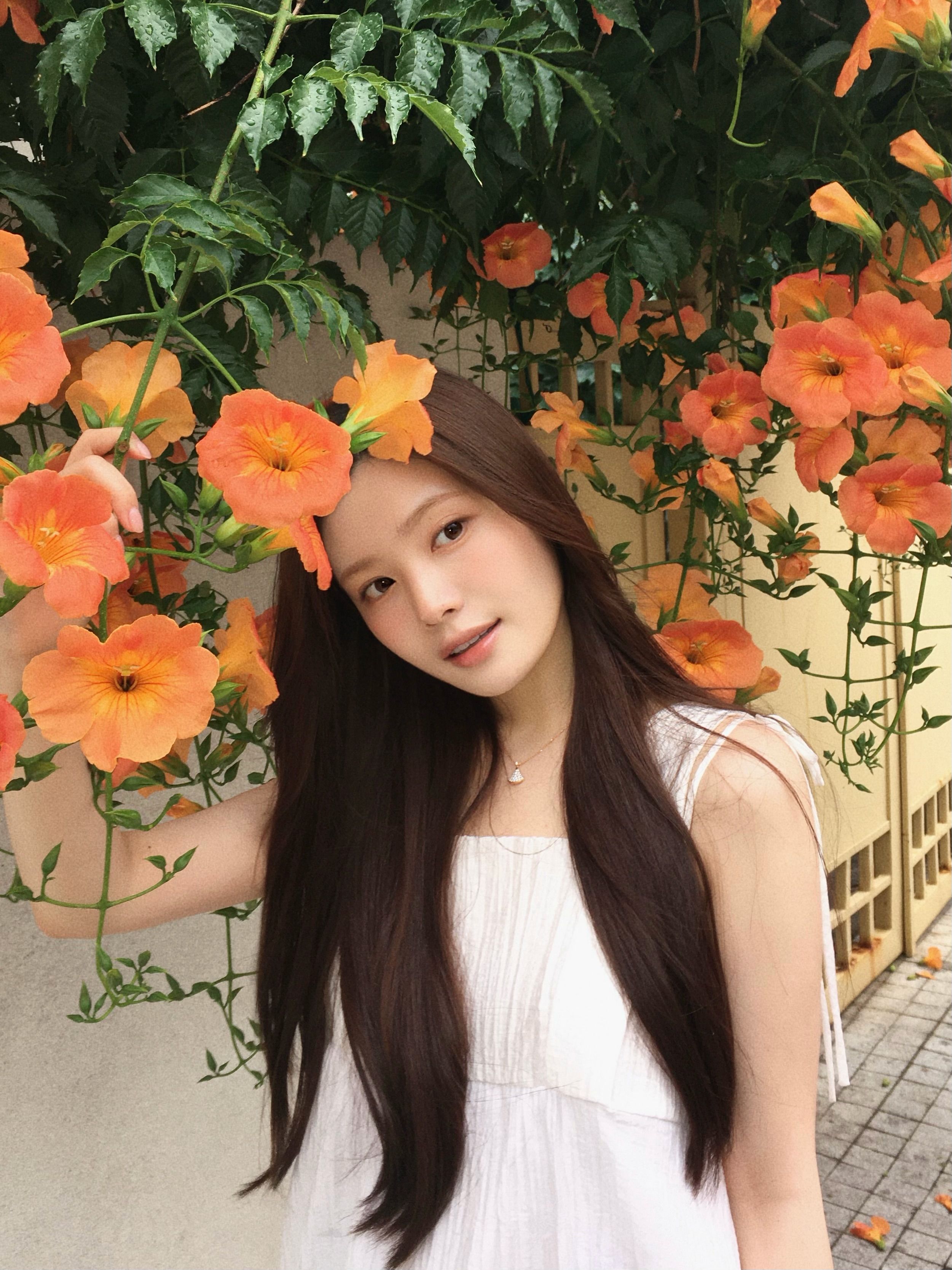 dabin_v 2026-06-30T210116-4.jpeg