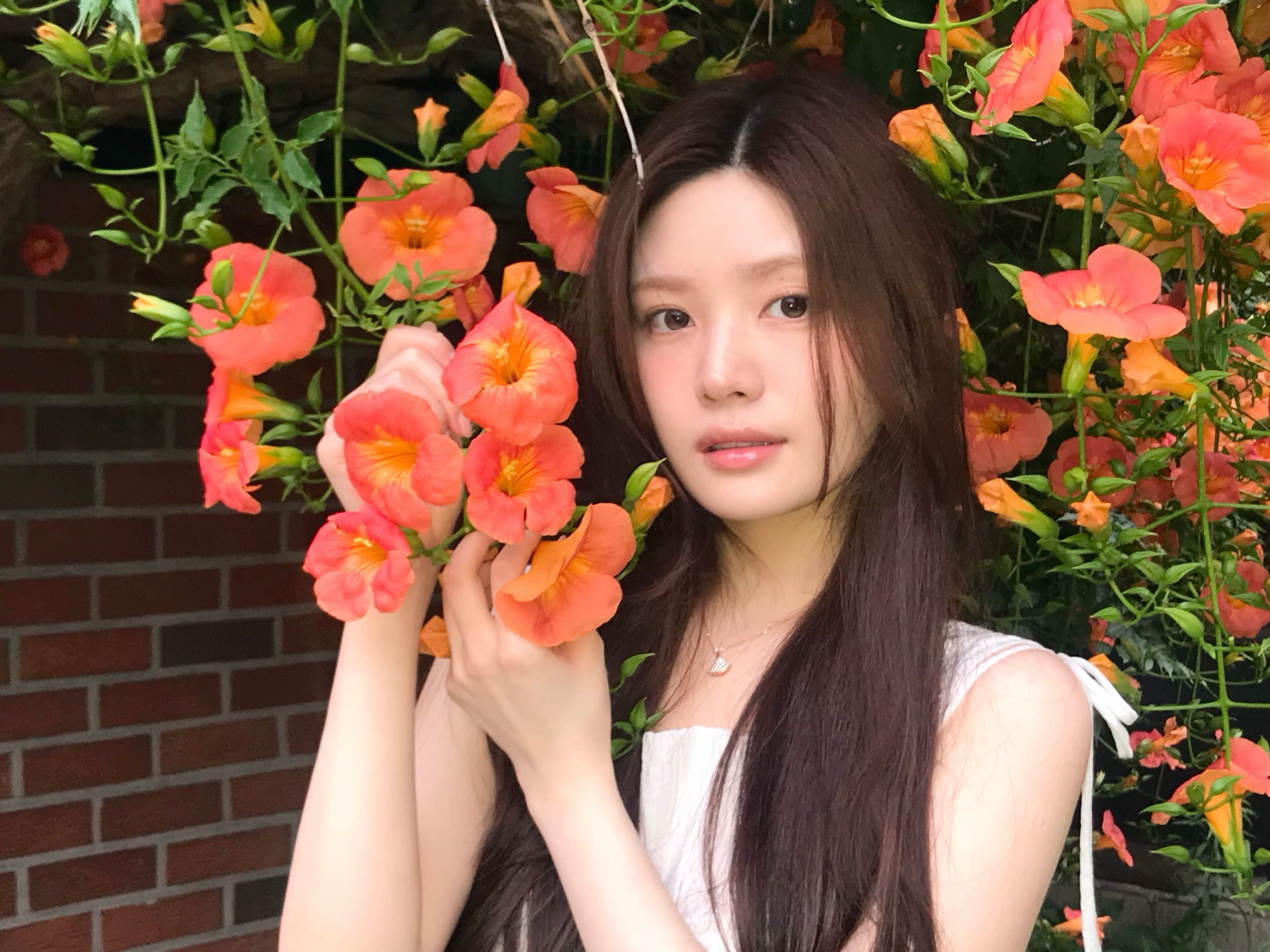 dabin_v 2026-06-30T210114-2.jpeg