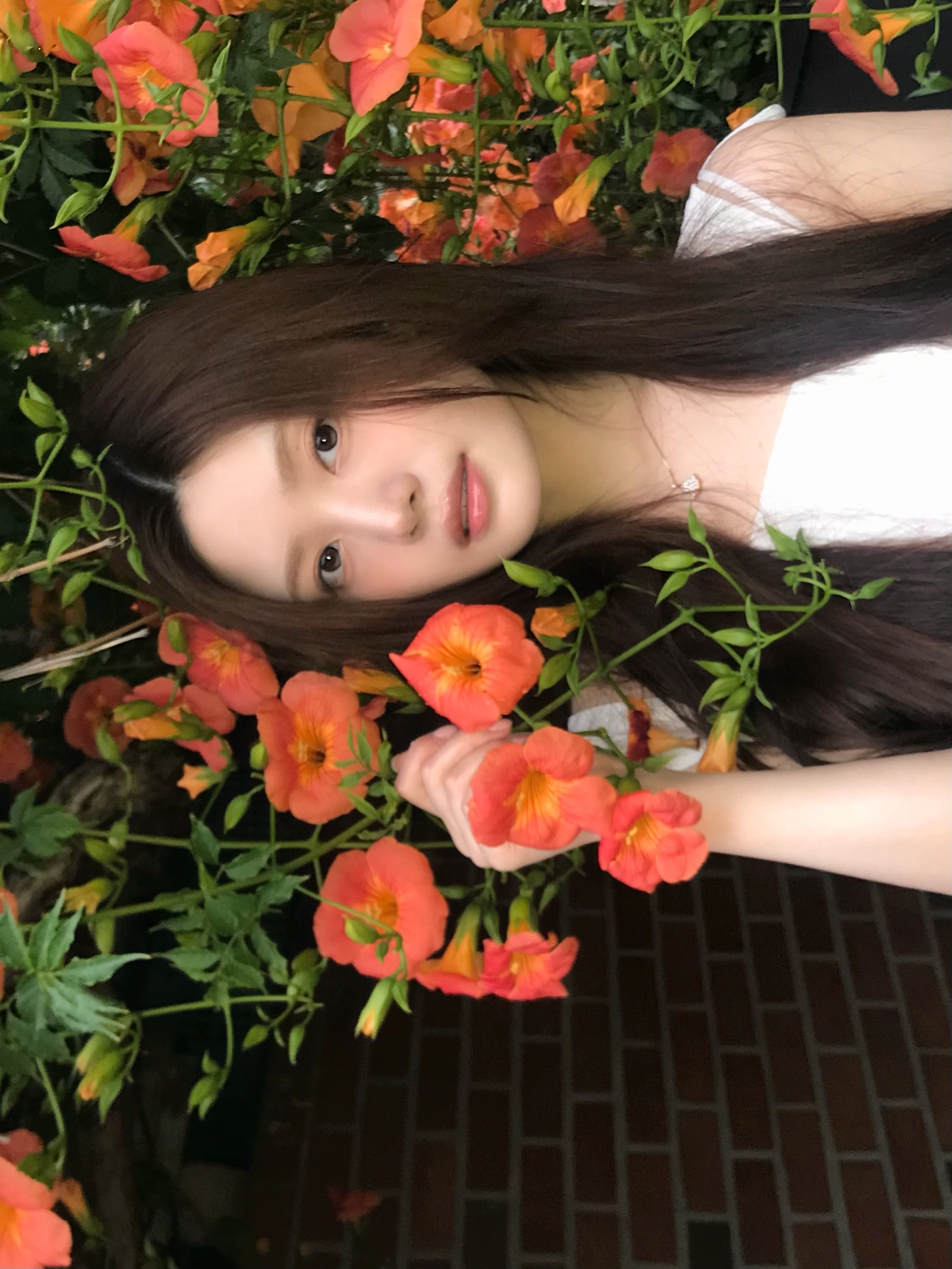 dabin_v 2026-06-30T210121-8.jpeg