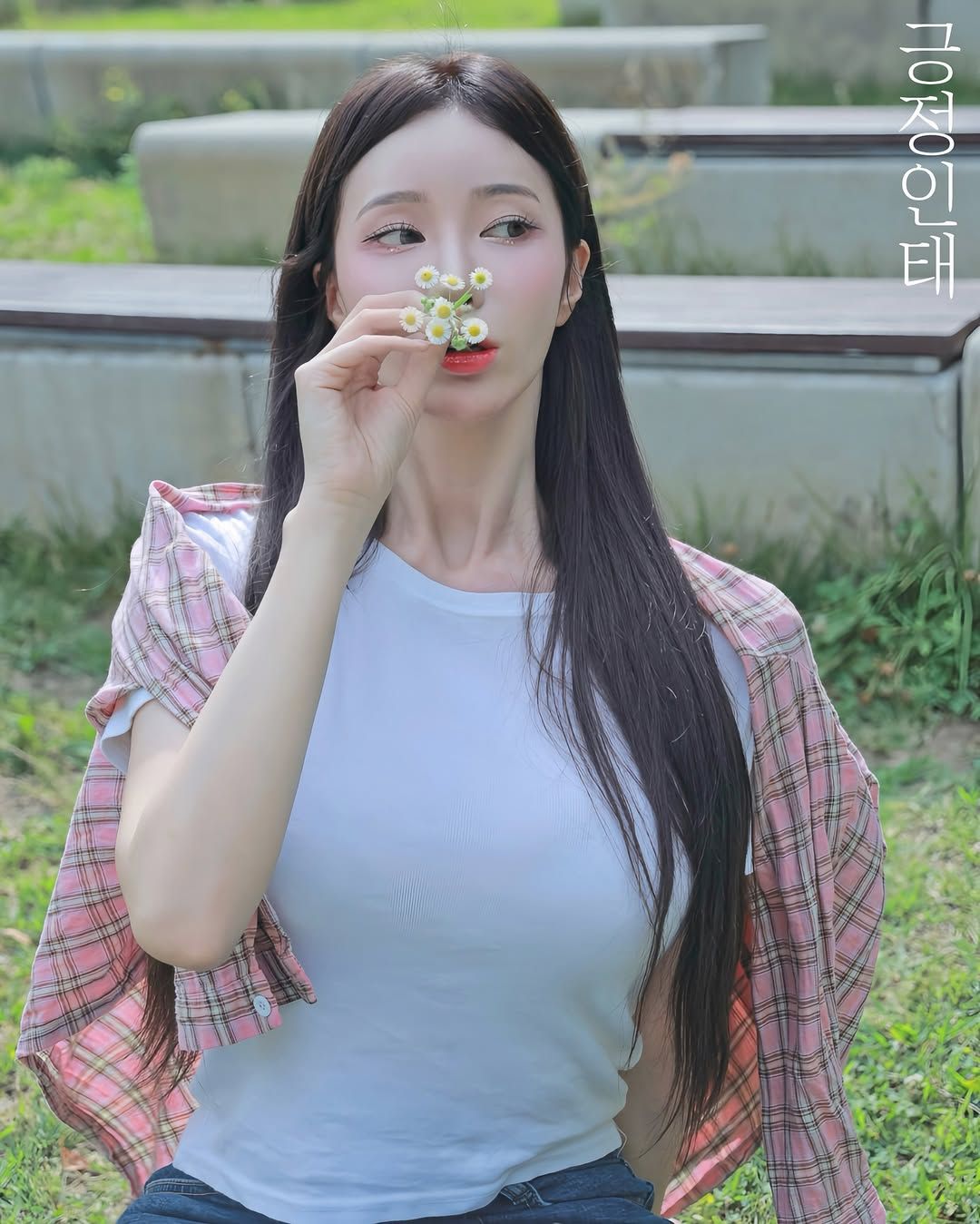 겨우디 스트리머1.jpg