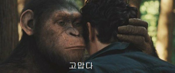첨부파일