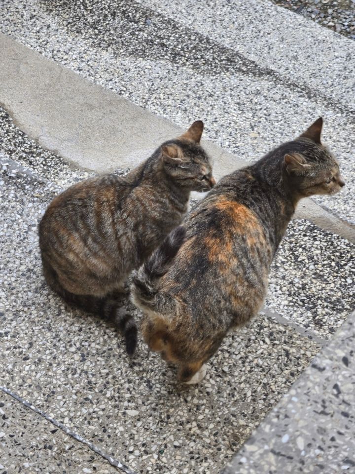 프로필