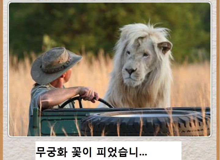 프로필