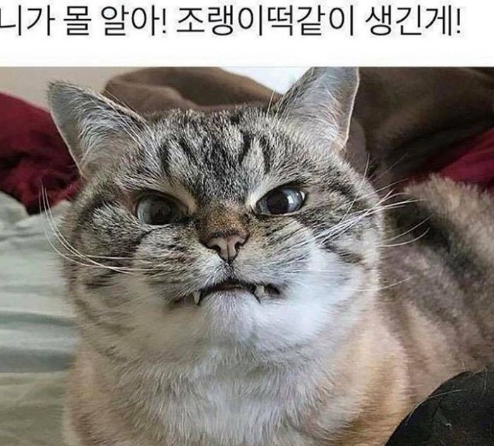 프로필