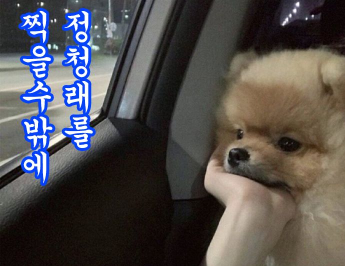 첨부파일