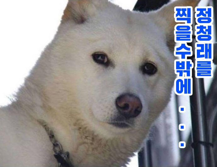 첨부파일