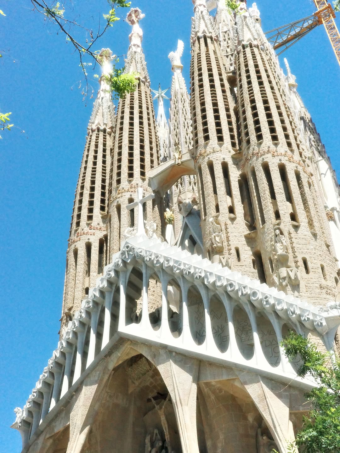 _zyozyo-20260513-0009.jpg