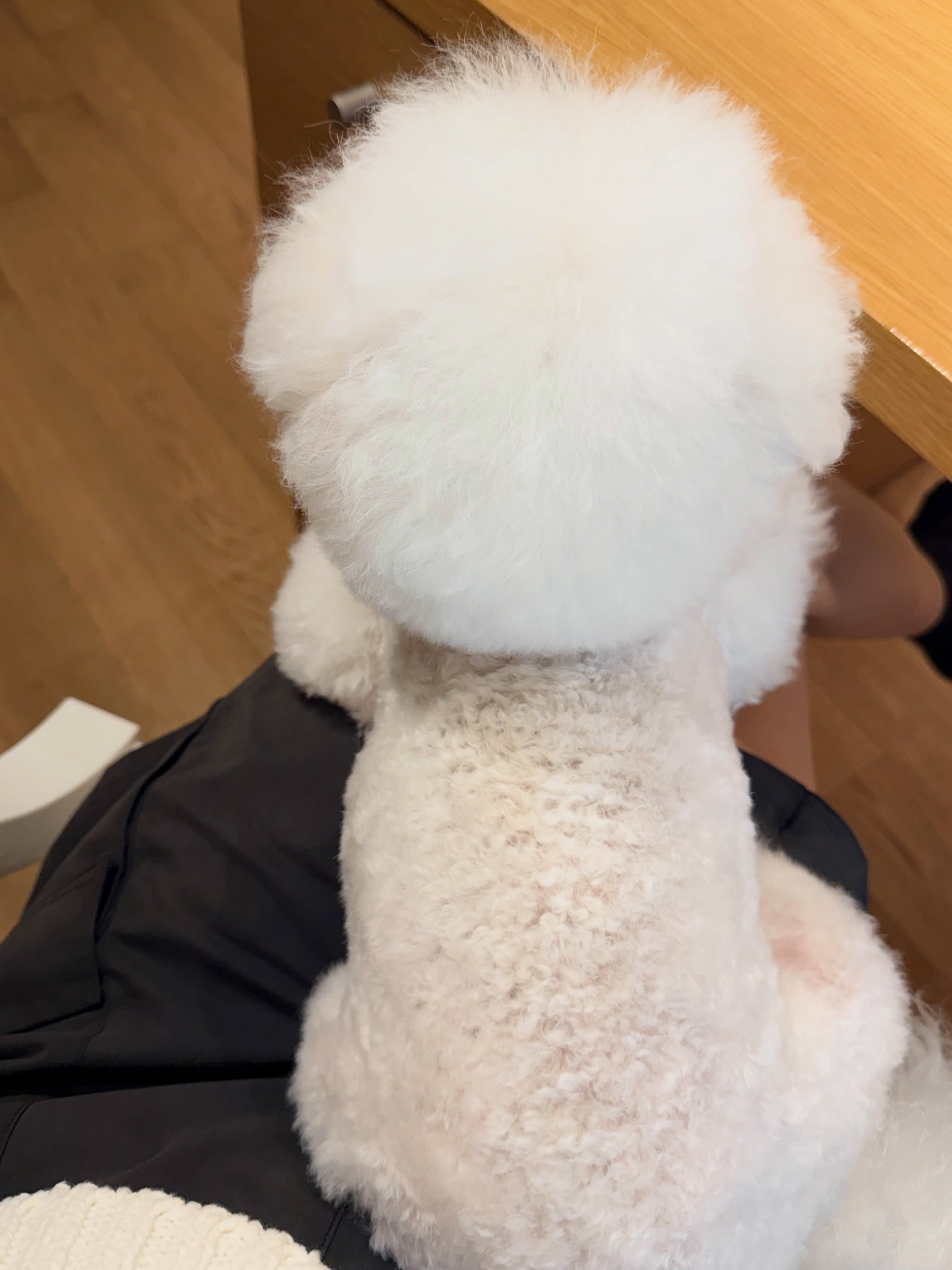 yewon0714__2026-06-23T090950.000Z_3.jpg