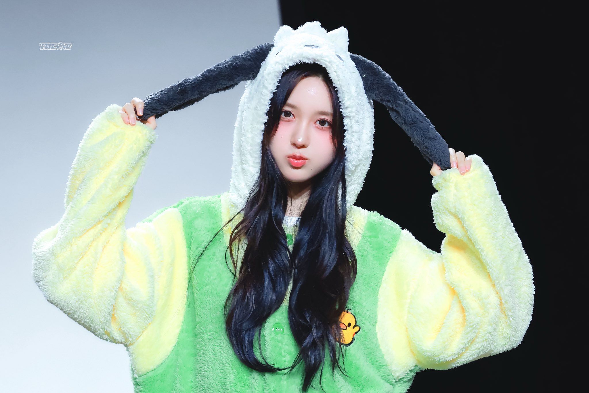 260505 가을 팬 (11).jpg