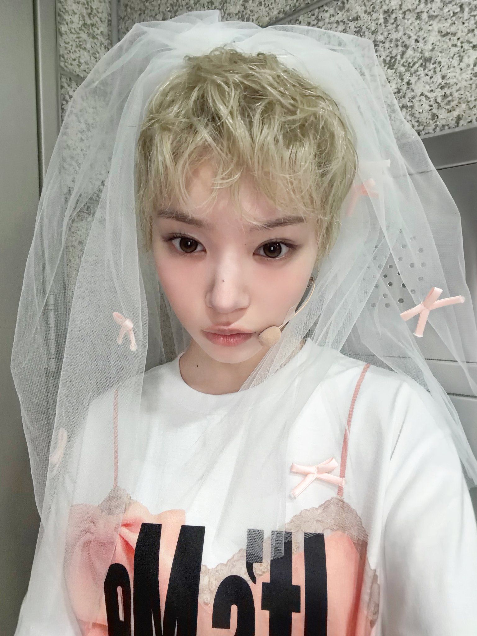모카 (3).jpg