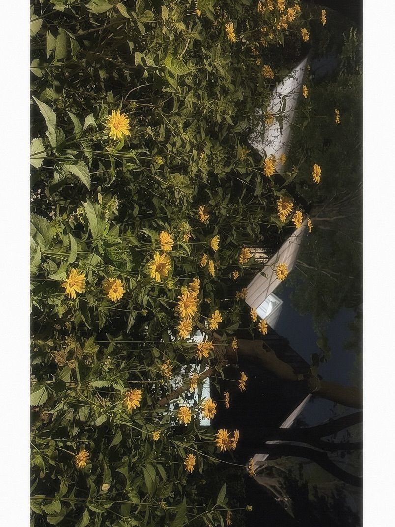 하늘 (9).jpg